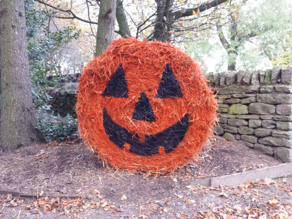 Halloween Tickets
