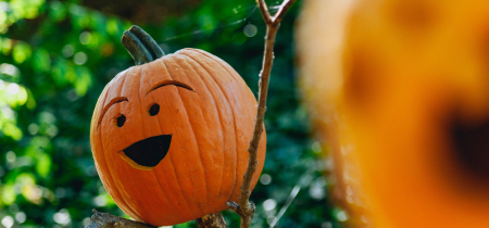 Halloween Pumpkin Carving