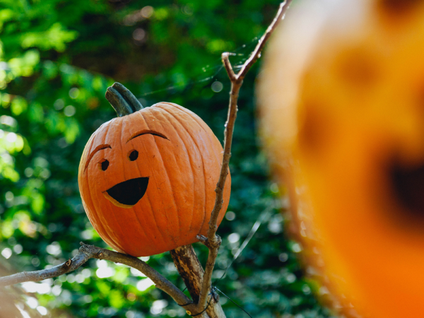 Halloween Pumpkin Carving