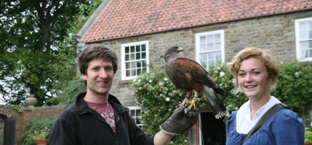 Georgian Hawk Walk