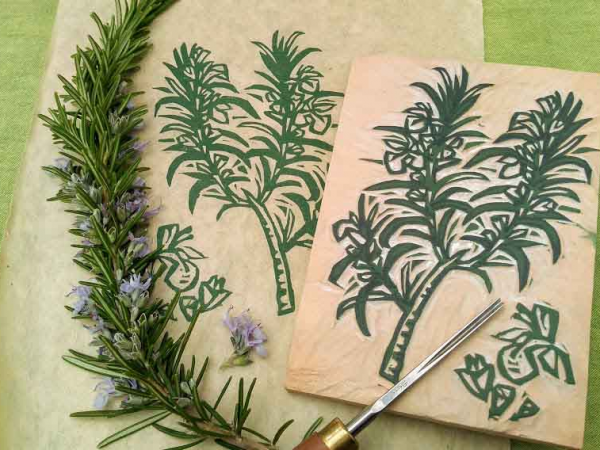 Herbal woodcuts: block cutting and printing