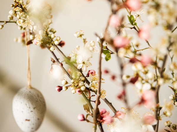 Easter Afternoon Tea at High Force Hotel