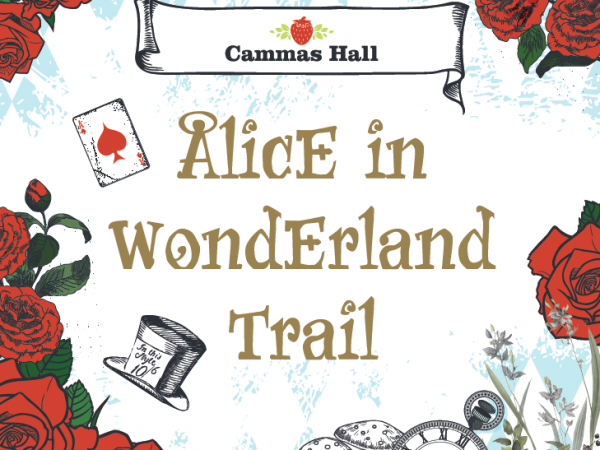 Alice in Wonderland Trail