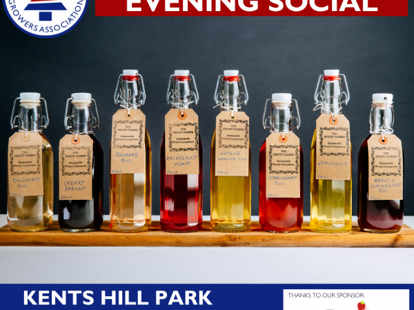Evening Social 2025