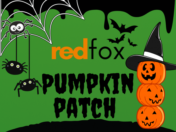Pumpkin Patch