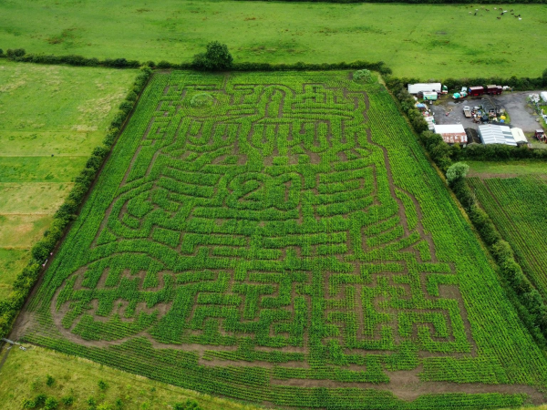 Maize Maze