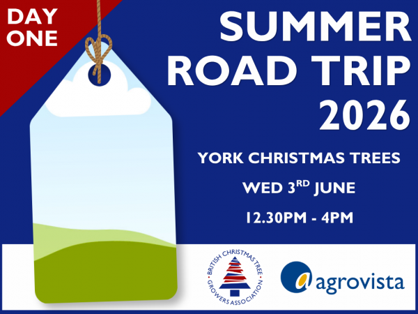 Day One - York Christmas Trees