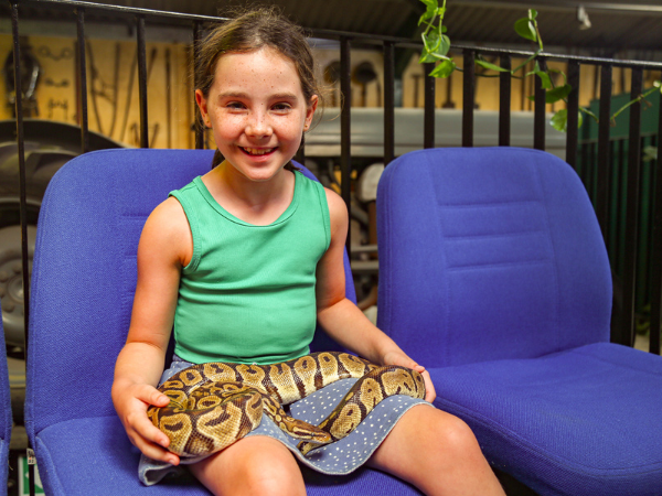 Reptile experience