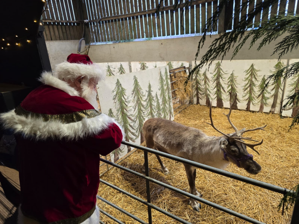 Christmas on the Farm