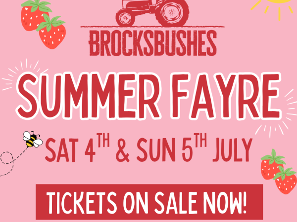 Summer Fayre (4th & 5th July)
