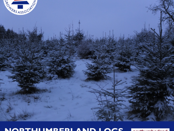 2025 Member Visit Day - Northumberland Logs - 5th August