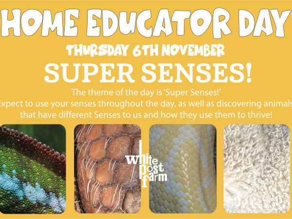 Home Educator Day
