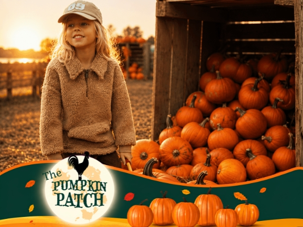 The Main Pumpkin Patch 2026