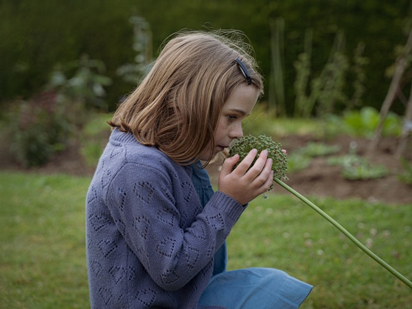 Seasonal Change - Morning & afternoon sessions