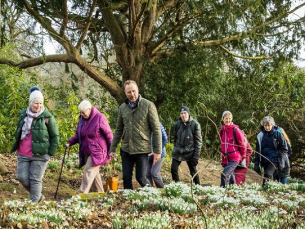 Snowdrop Walk & Talk with Rachel