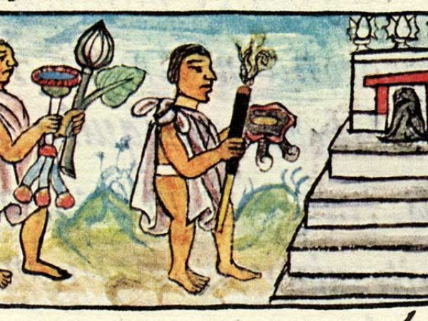 More Than One Way to See a Garden: Reconciling a passion for flowers with gardens’ difficult histories