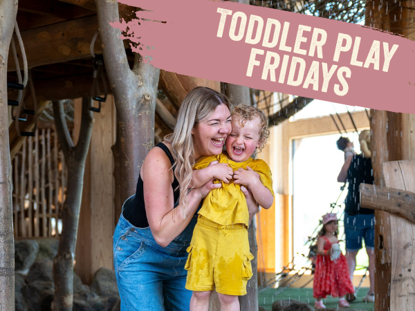 Toddler Play Friday