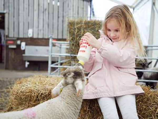 February Frolics 2026