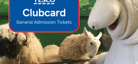 Tesco General Admission Tickets