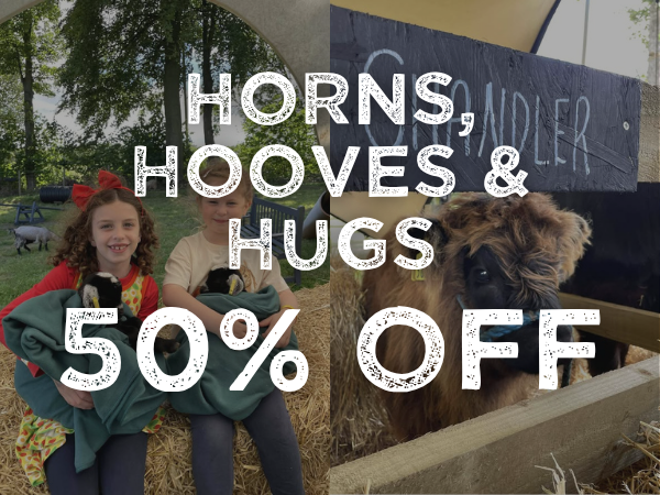 Horns, Hooves & Hugs - 50% OFF