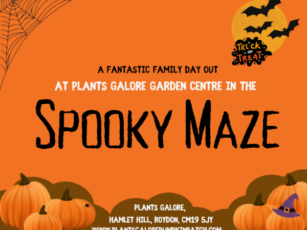 Spooky Maze