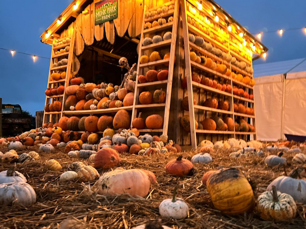 The Great Yorkshire Pumpkin Patch - Nights