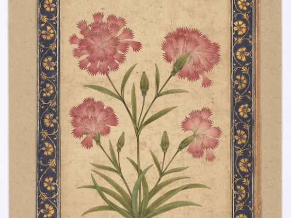 A Garden in the Palm of Your Hands: Flower Paintings in Mughal Albums