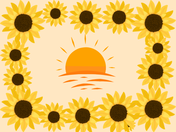 Wednesday 12th Aug - The Sunset Sunflower Bar