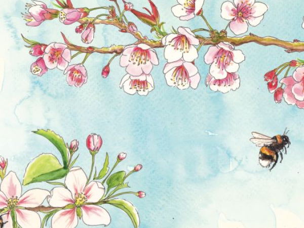 Flowering Fruits with Wild Life Drawing