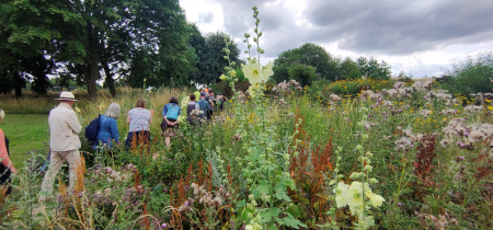 Botany Walk and Talk