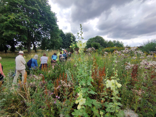 Botany Walk and Talk