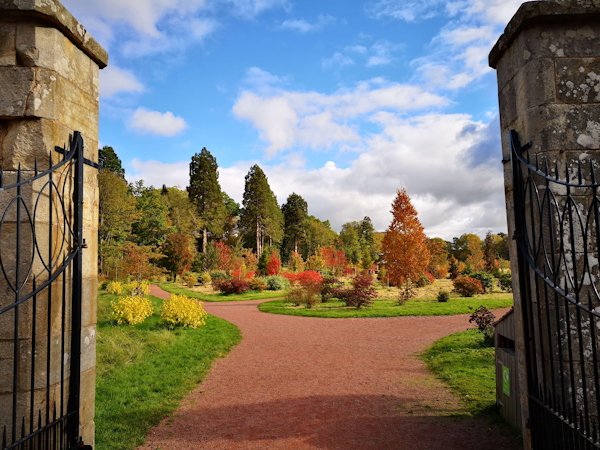 Dumfries House Guided Walks - Estate Walk