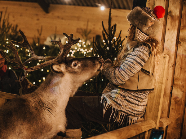 The Real Christmas Experience 2025