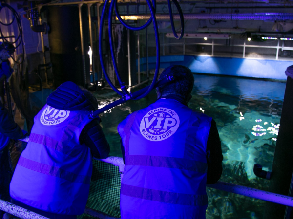 Behind the Scenes at The Aquarium