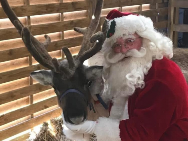 Christmas Grotto tickets 2025