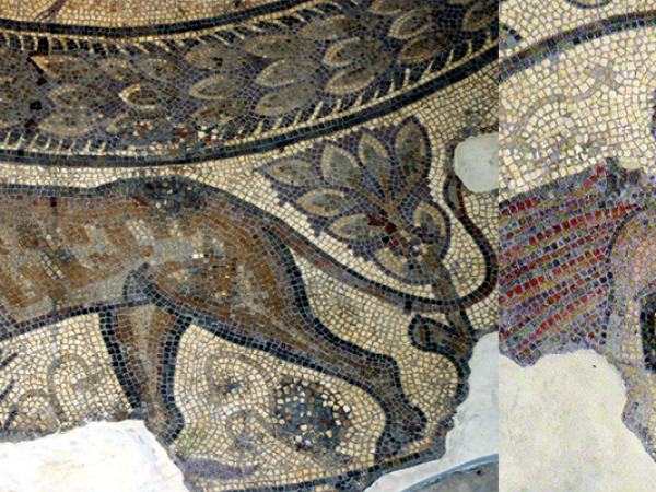 Project Orpheus Partnership Conference