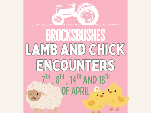 Lamb & Chick Easter Experiences
