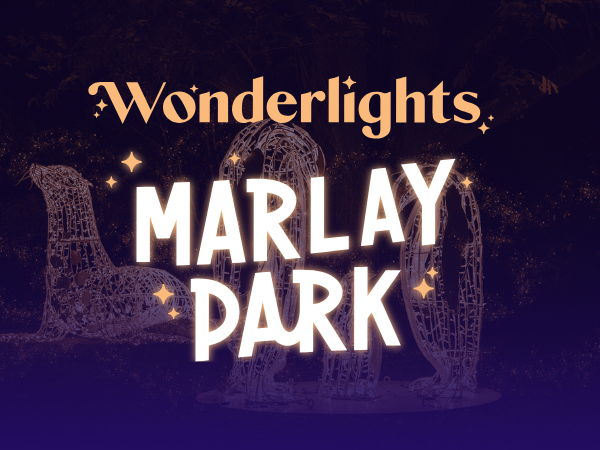 Wonderlights at Marlay Park 2025