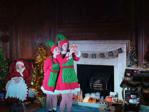The Elves and the Magic Bear