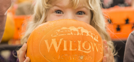 Pumpkin Festival 2023 - EARLY BIRD DISCOUNTED TICKETS ENDS 29th SEPTEMBER