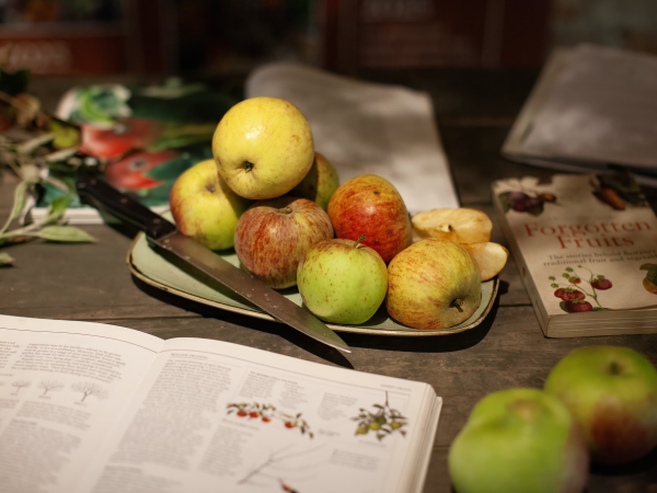 Apple Arch Pruning