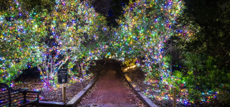 'Twas the Night Before Christmas | Light Trail Only