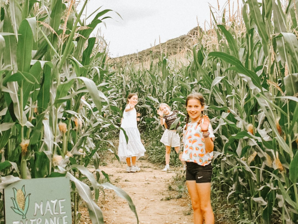South Farm Rodmell Maize Maze 2026