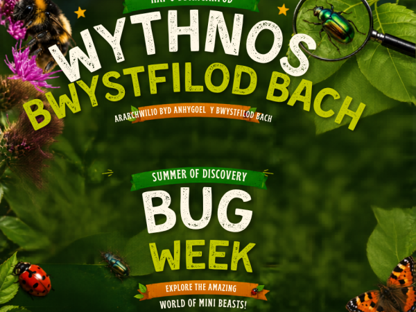 Bug Life Show