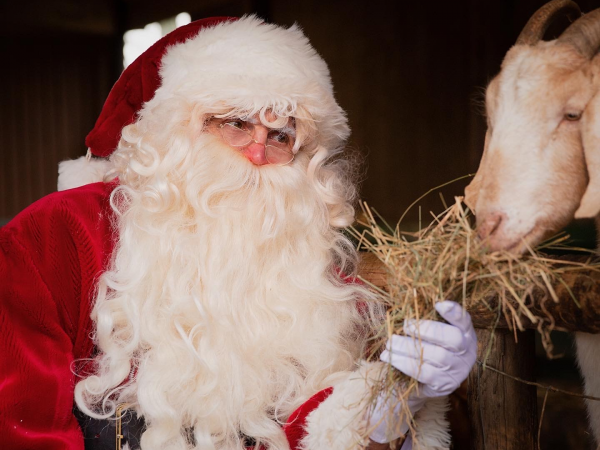 The Christmas Experience 2025 - Toddler and SEND Sessions