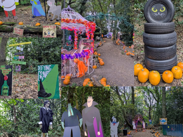 Pumpkin Woods