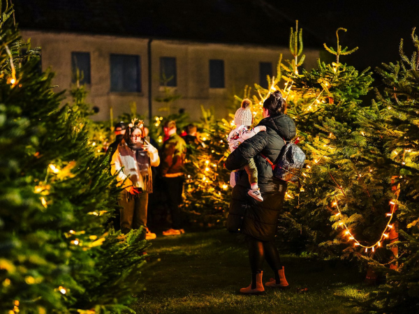 Ultimate Christmas Experience 2025