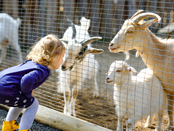 Farm  Admission