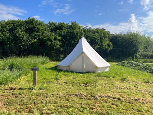 Deer Den Camping Pitch