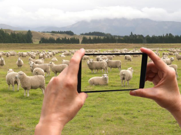 Farming Summer Workshop - Junior Lens on the Land - Age 11-16yrs